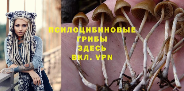 дурь Волосово