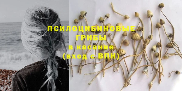 ПСИЛОЦИБИНОВЫЕ ГРИБЫ Волоколамск
