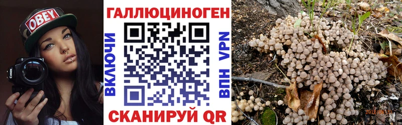 блэк спрут ONION  Ахтырский  Псилоцибиновые грибы мицелий 